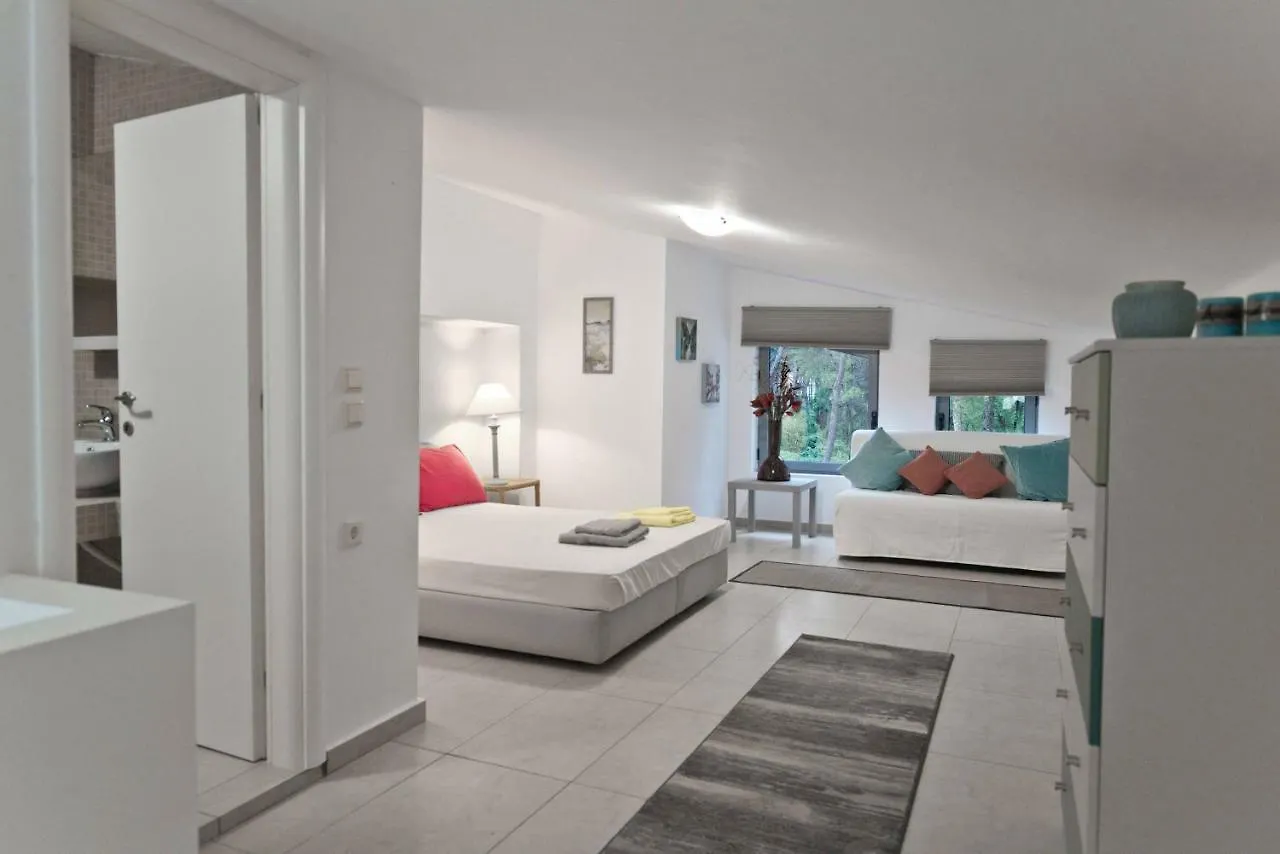 Newly Built Villa, Sani Resort Stavronikita