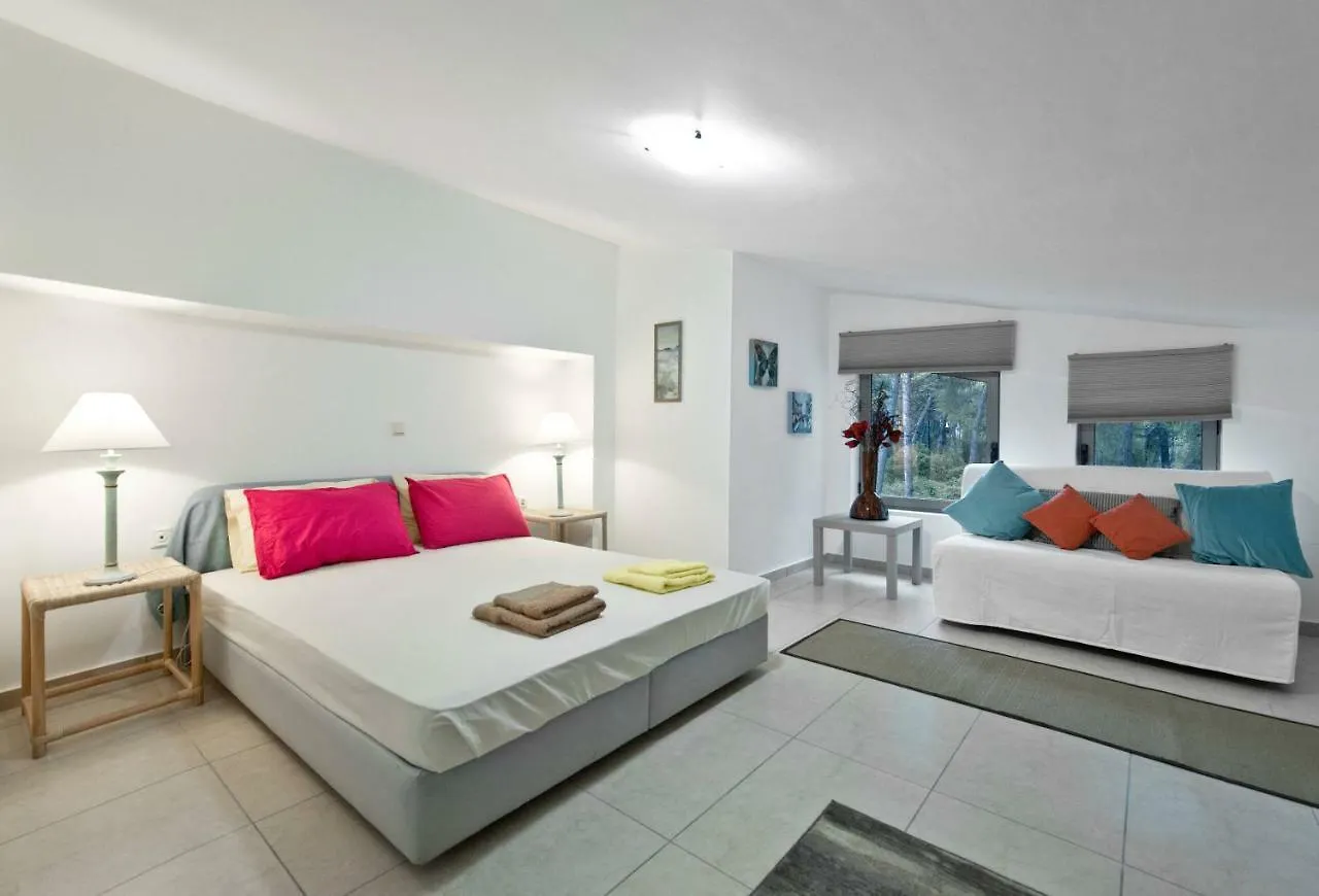 Newly Built Villa, Sani Resort Stavronikita Holiday home