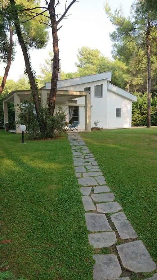 Holiday home Newly Built Villa, Sani Resort Stavronikita